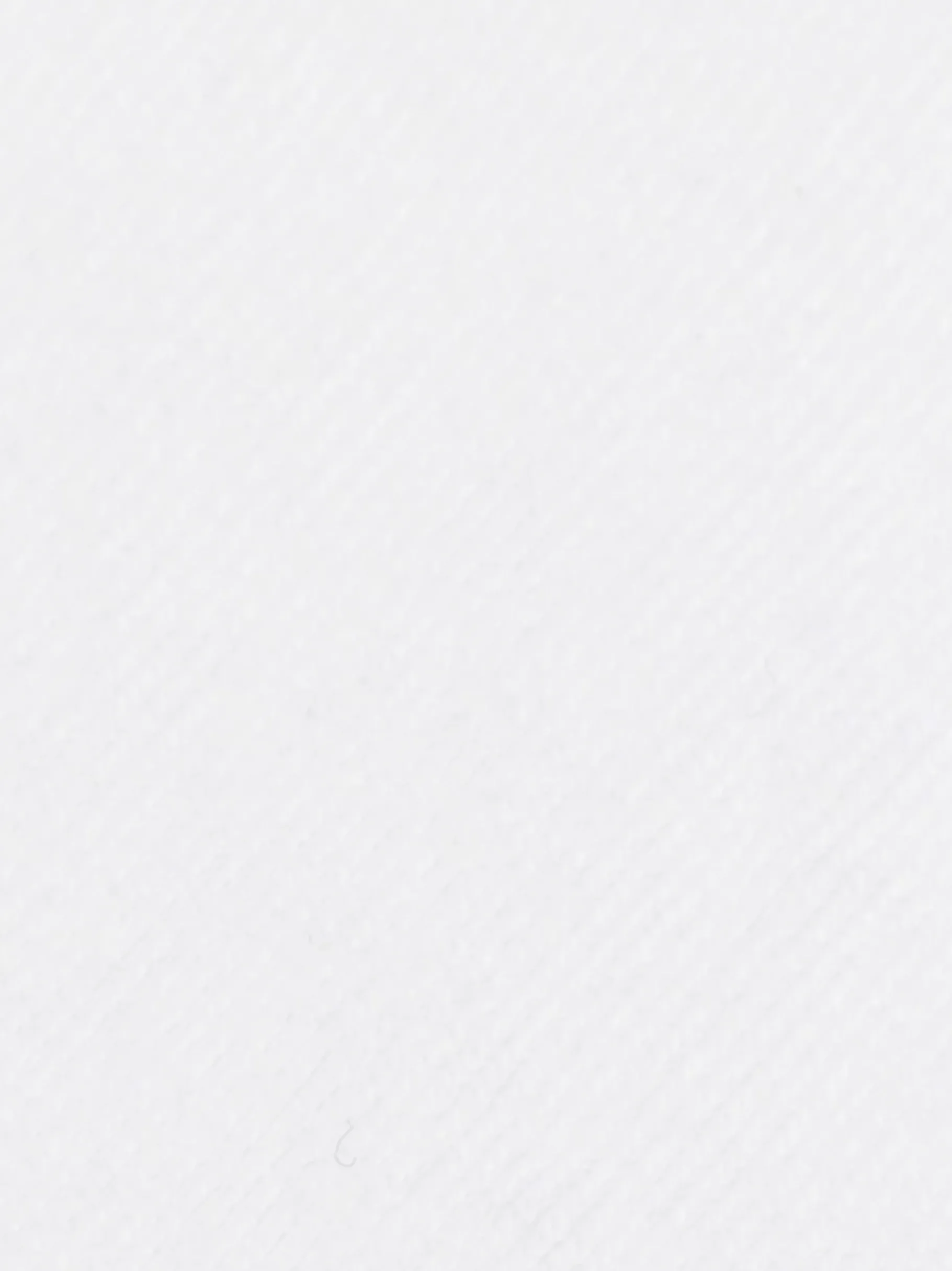 Tommy Hilfiger 2er-Pack kurze Socken mit Flag WHITE Discount