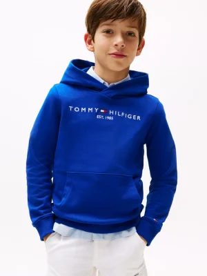 Tommy Hilfiger Hoodie mit Logo WEDGE BLUE Shop