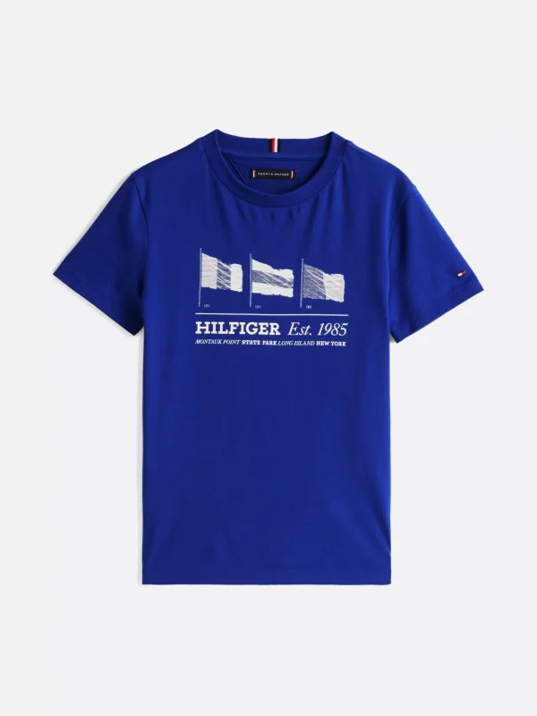 Tommy Hilfiger T-Shirt mit Rundhalsausschnitt und Flag-Grafik WEDGE BLUE Hot